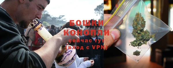 молекула духа Краснослободск