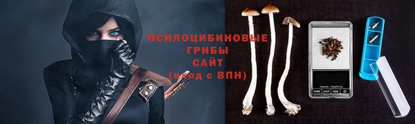 сатива Краснотурьинск