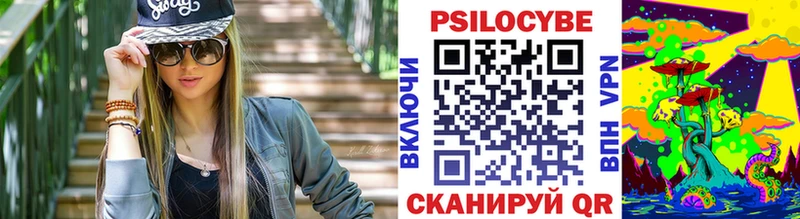 Галлюциногенные грибы Psilocybe цена наркотик Волгодонск