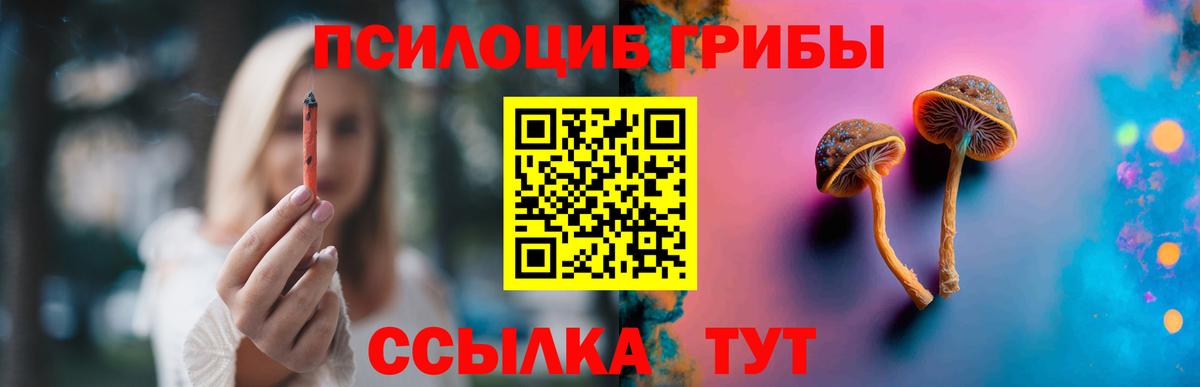 Псилоцибиновые грибы Magic Shrooms  Вход с VPN  Волгодонск 